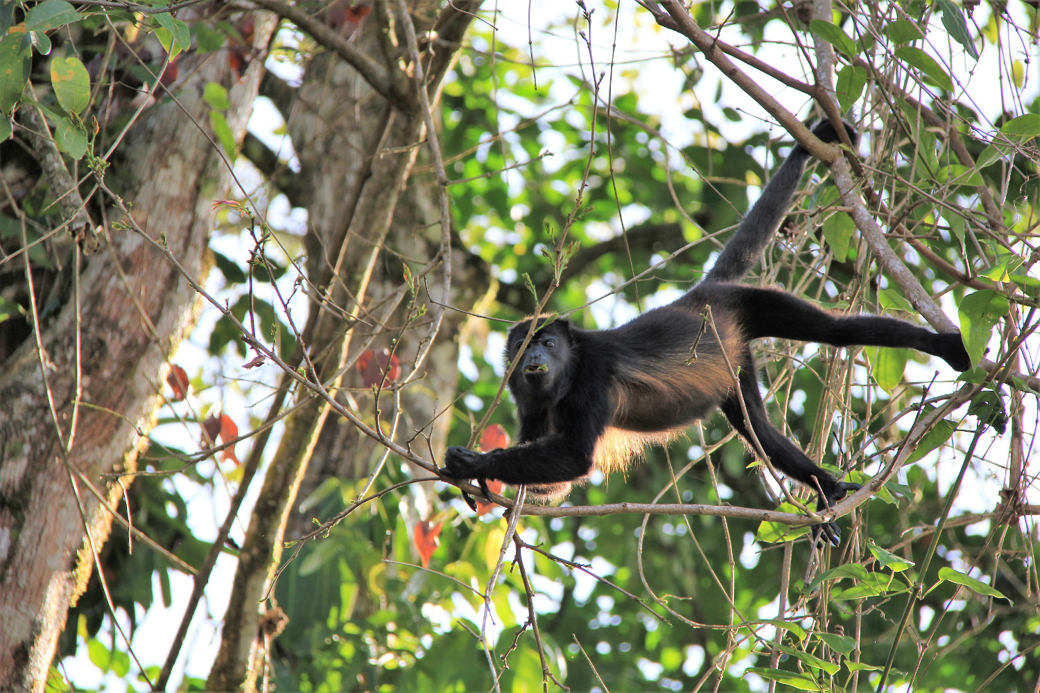 Costa Rica